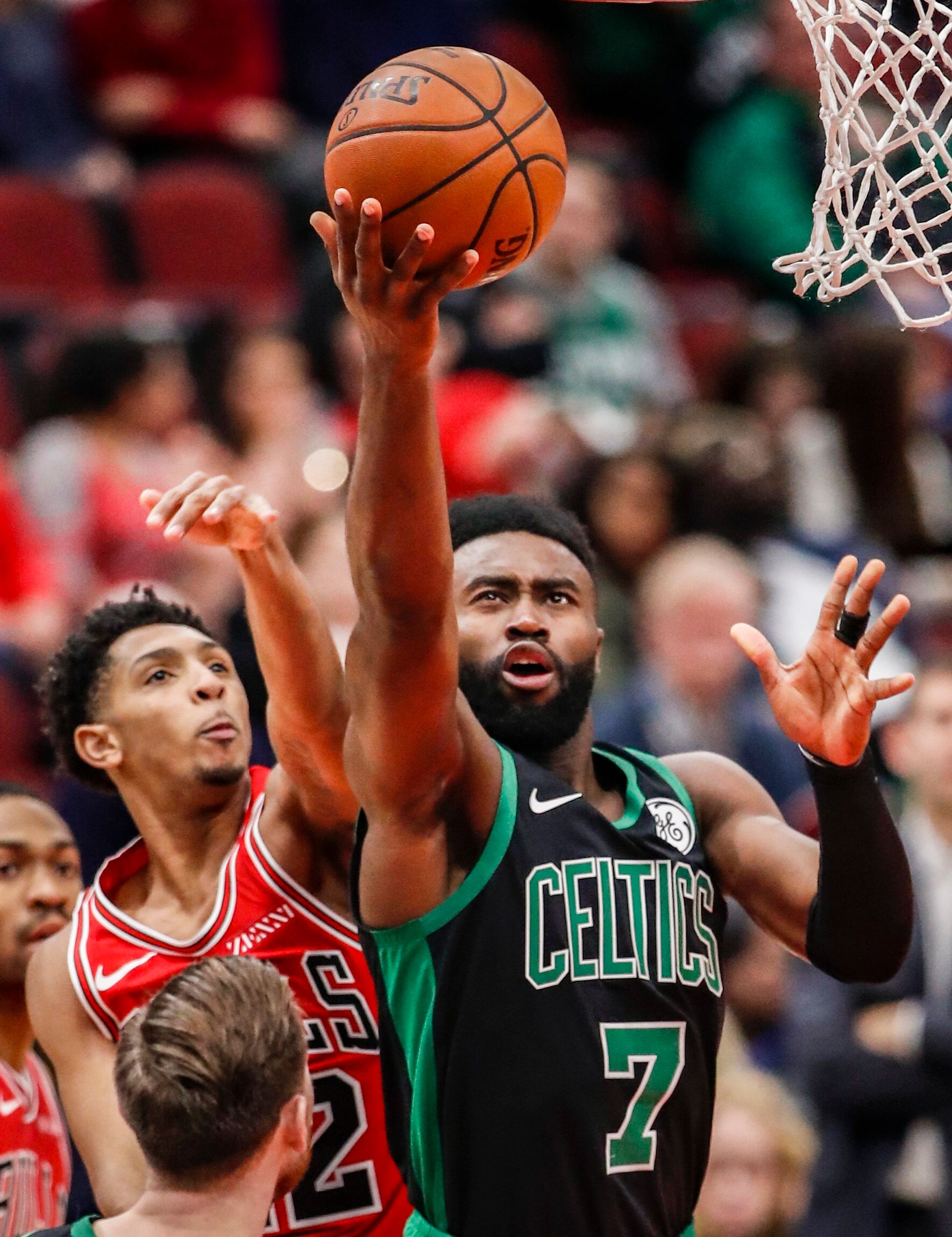 奥尔索利尼 奥尔索利尼